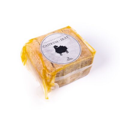 Espartacvs | Castrvm-Erat